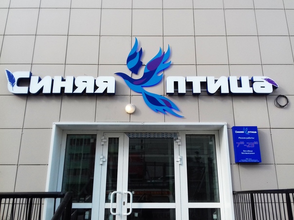 Синяя Птица Магазин Тюмень Официальный Сайт
