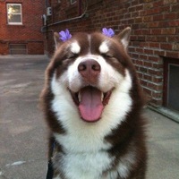 Екатерина Богданова