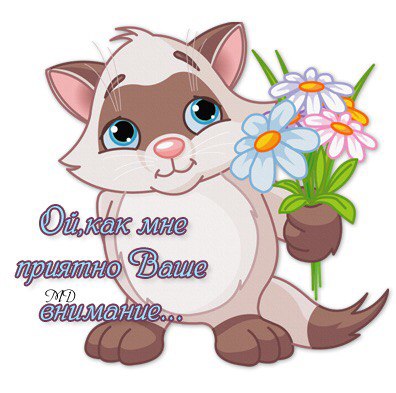 Спасибо за подарки и внимание картинки