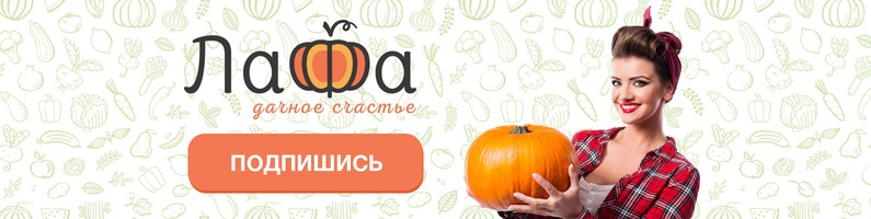 Лафа Магазин Саженцев Лафа Магазин Саженцев