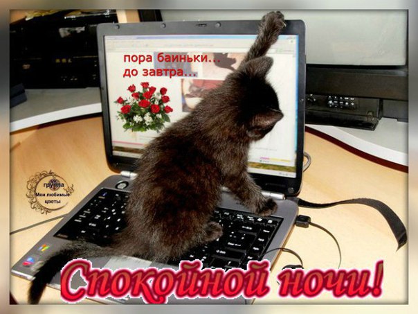 Картинка пора спать выключай компьютер, текстом марта