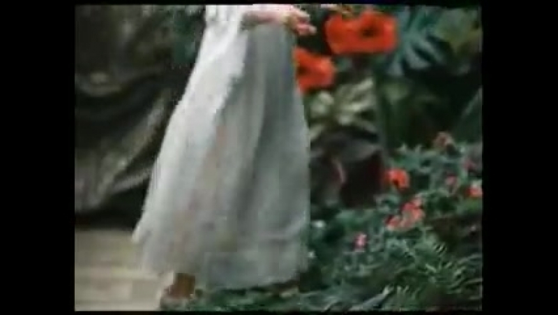 Комедия ошибок.