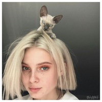 Егор Елисеев