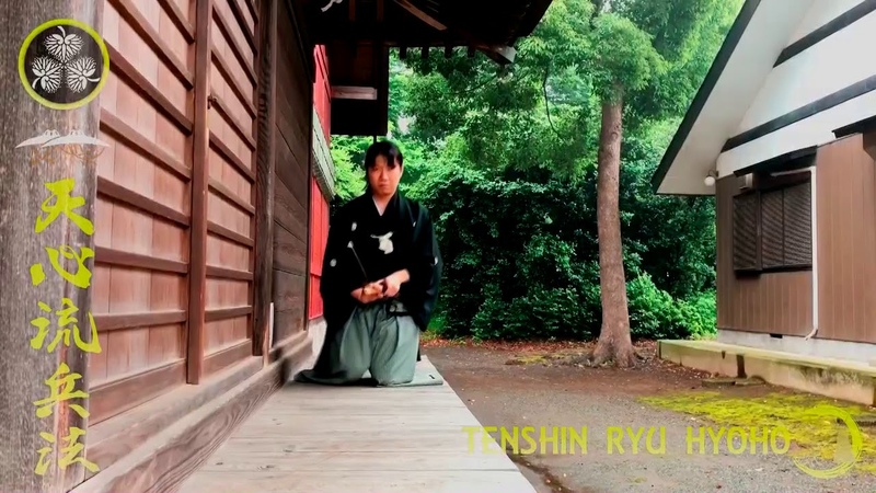 Tenshin Ryu hyoho