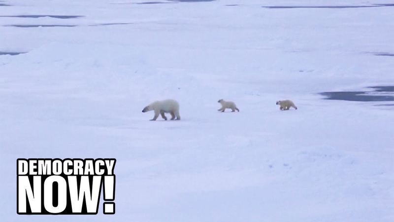 Biological Annihilation : The Danger of Opening Alaska s ANWR to Oil Gas