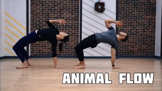 Что такое Animal Flow / Тренировка для Новичков