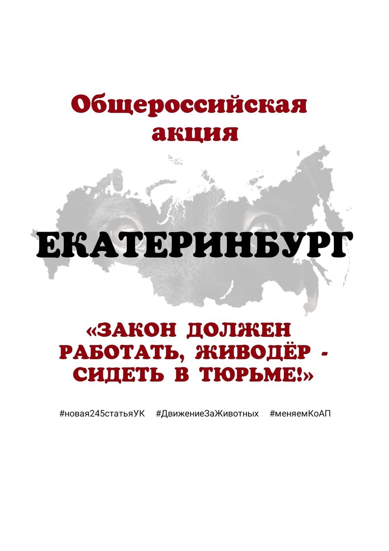 Афиша Екатеринбург ЕКАТЕРИНБУРГ. Закон должен работать-живодер сиде