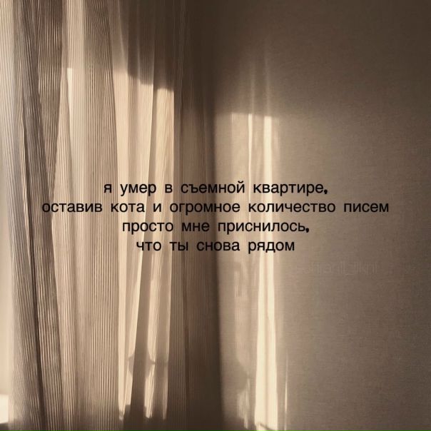 Высказывание про шторы. Цитаты про шторы. Стих я карандаш с бумагой взял нарисовал дорогу. Если вы в своей квартире текст. Михалков я карандаш с бумагой взял.