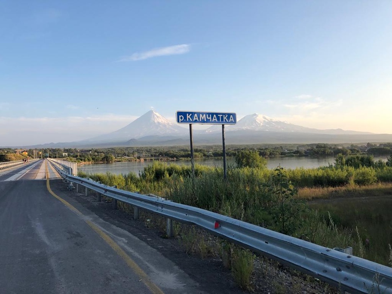 поле кура камчатка фото присасываются шкуре животного