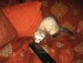 Наталия Черненко фотография #41