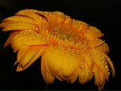 №9 Марина Демура 04.01: профиль, фото, статус - ВКонтакте №9 Марина Демура 04.01: профиль, фото, статус - ВКонтакте