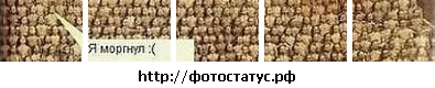 №37, Діма Цехан, Луцк №37, Діма Цехан, Луцк