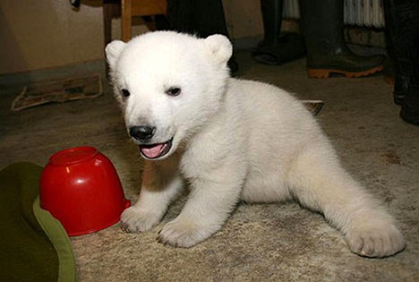 №65, Юлия Архарова №65, Юлия Архарова