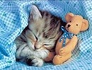 Фотография Габдрахмановой Альбины