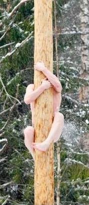 №145, Николай Степченков, Луганск №145, Николай Степченков, Луганск