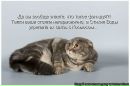 Фотография Phoenix Guru
