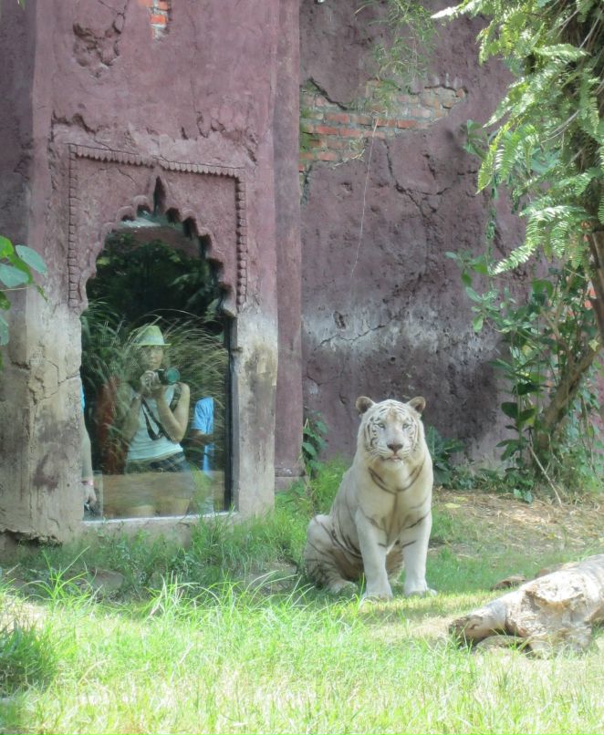 Мария Токарева Manyuta | Москва