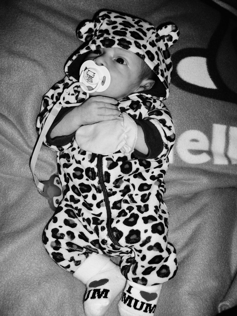 Ulyana Zhurunova | Delft