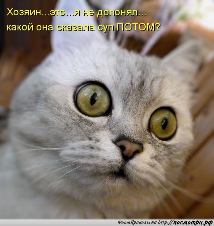 Дима Хмелюк | Черкассы