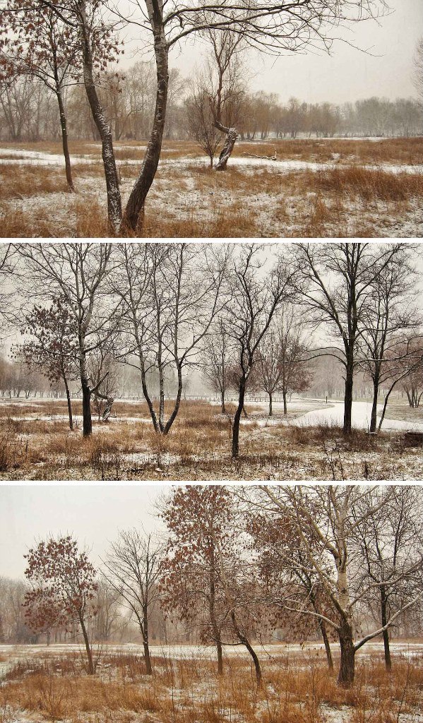 Александр Хромеев | Мариуполь