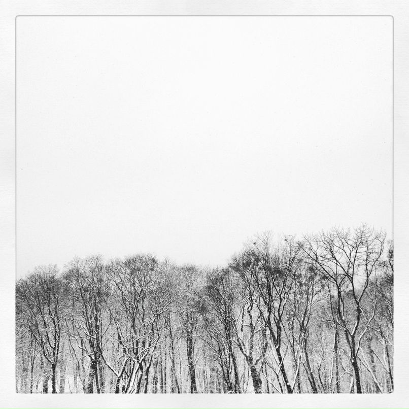 Никита Казмирук | Киев