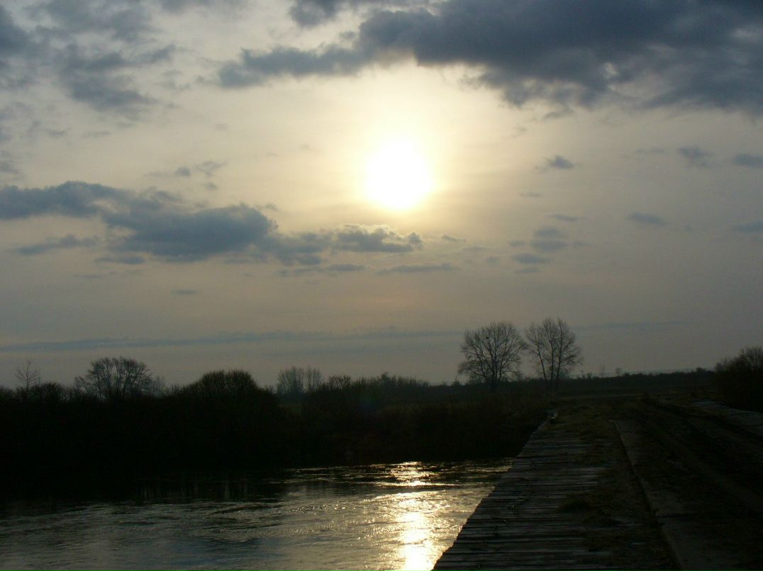 Ирина Рыжая | Курган