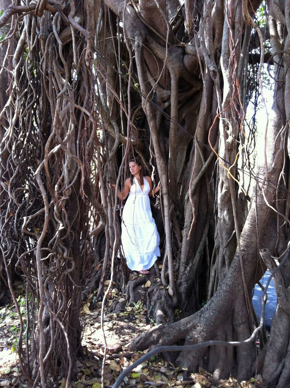 Юлия Апрелева | Видное