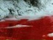 Ирина Новикова (KissMoon) | Кимры