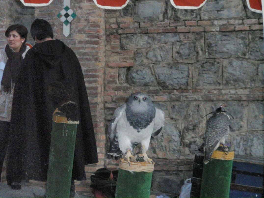 Артем Даниленко | 