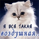 №85, Богдан Одородько, 26 лет, Киев №85, Богдан Одородько, 26 лет, Киев
