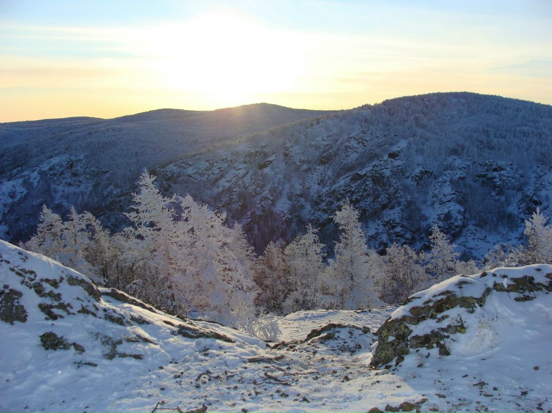 Родион Андрианов Родя | Челябинск