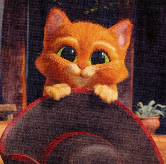 Лиза Вахранева | Санкт-Петербург