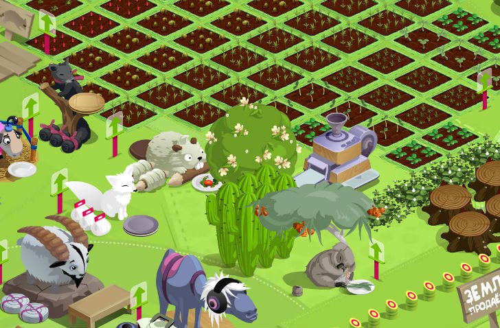 Ольга Васина | Санкт-Петербург