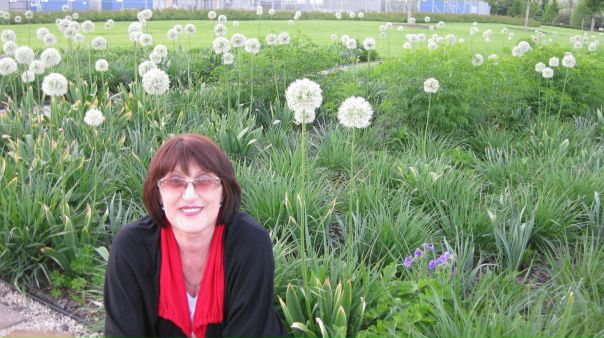 №65, Любовь Сиренко, Донецк №65, Любовь Сиренко, Донецк