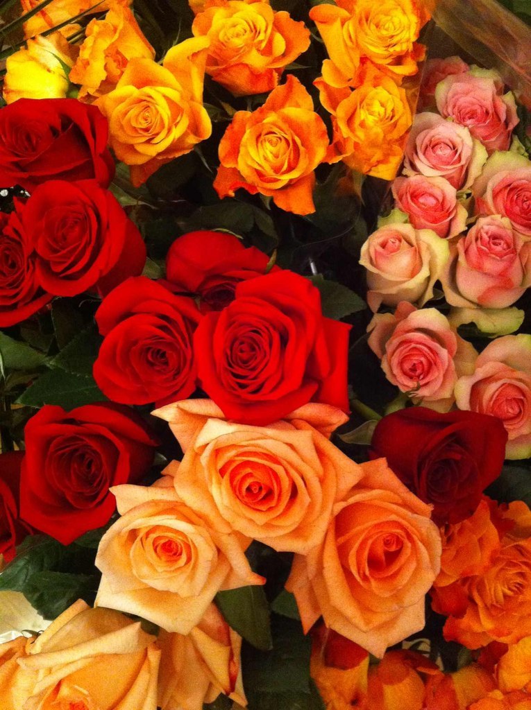 Нарине Балаян | Москва