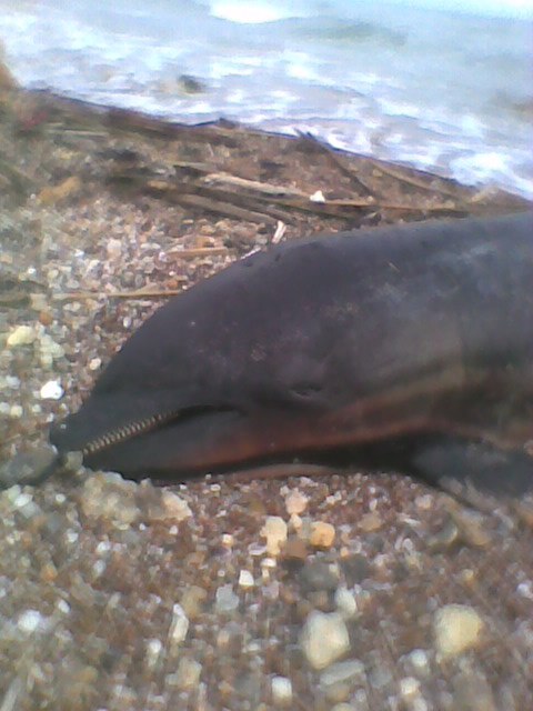 Вячеслав Суховеев | Харьков