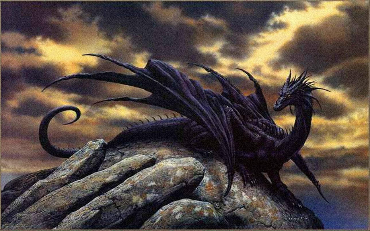 Никита Рухлов | Королёв