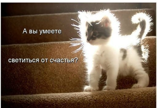 Никита Баскаков Ву | Москва