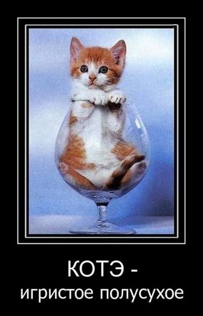 Сергей Липин 