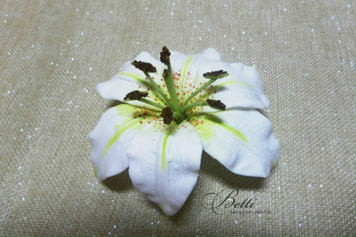 Любовь Строганова | Тольятти