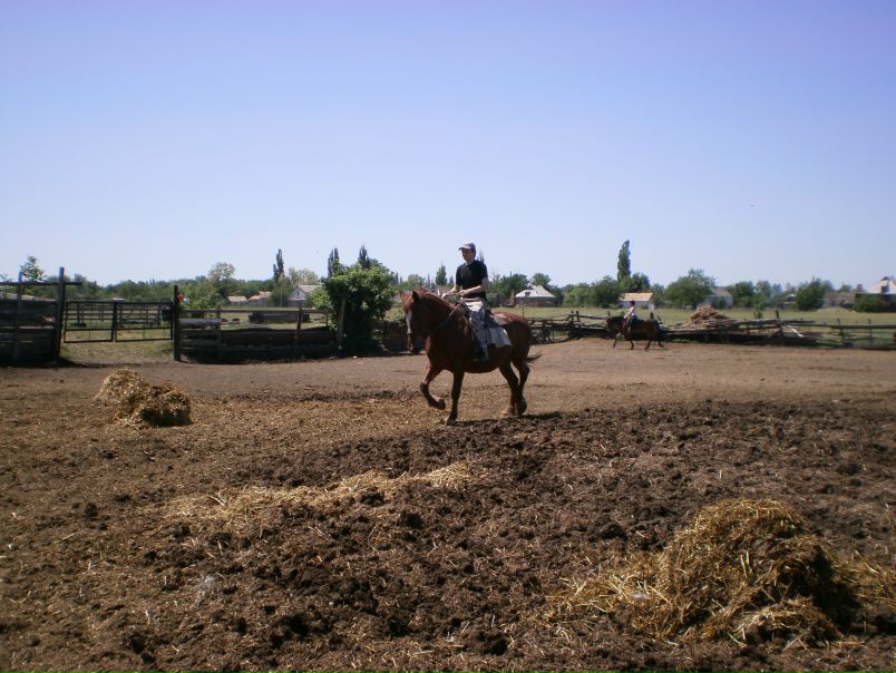 №9, Жека Mc, 36 лет, Москва №9, Жека Mc, 36 лет, Москва