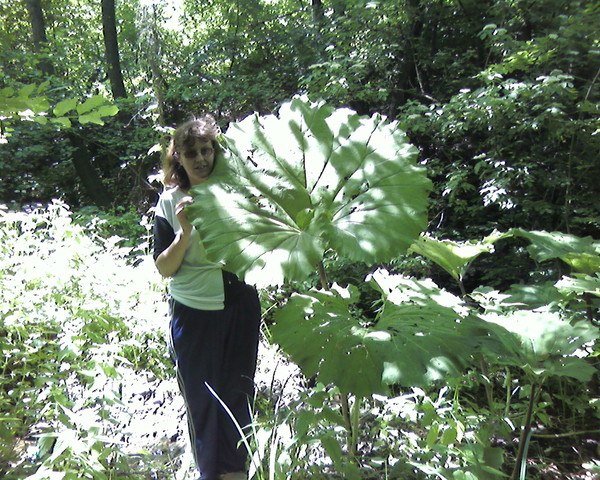 Наталья Скоробогатова | Ровеньки