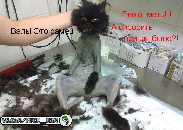 Станислав Горлов | Екатеринбург