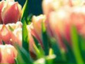 Ирина Смирнова | 