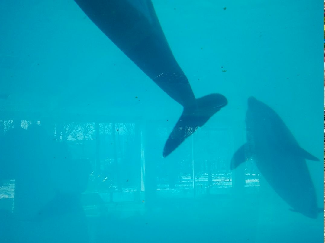 Гена Мычилкин | Донецк