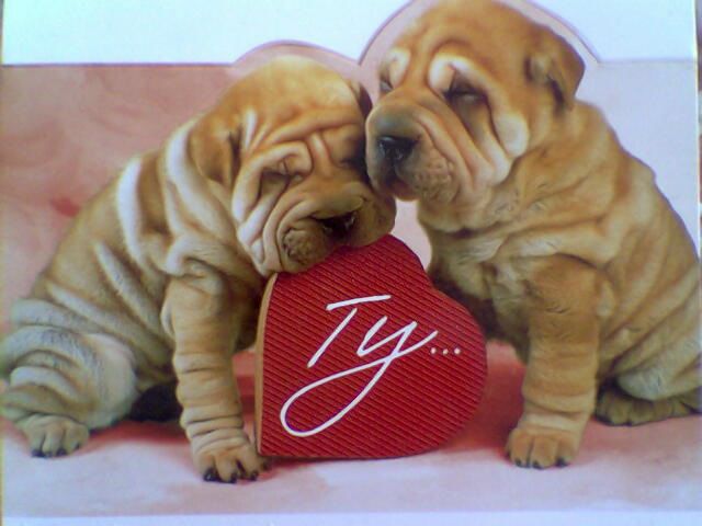 №22, Юленька Снісар, 26 лет, Киев №22, Юленька Снісар, 26 лет, Киев