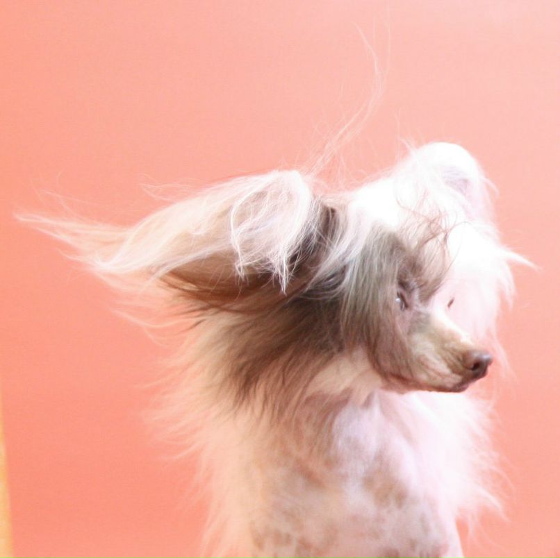 Наталия Попова | Йошкар-Ола