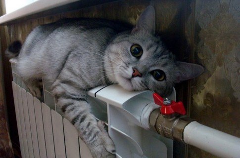 Диана Поперечная | Одесса