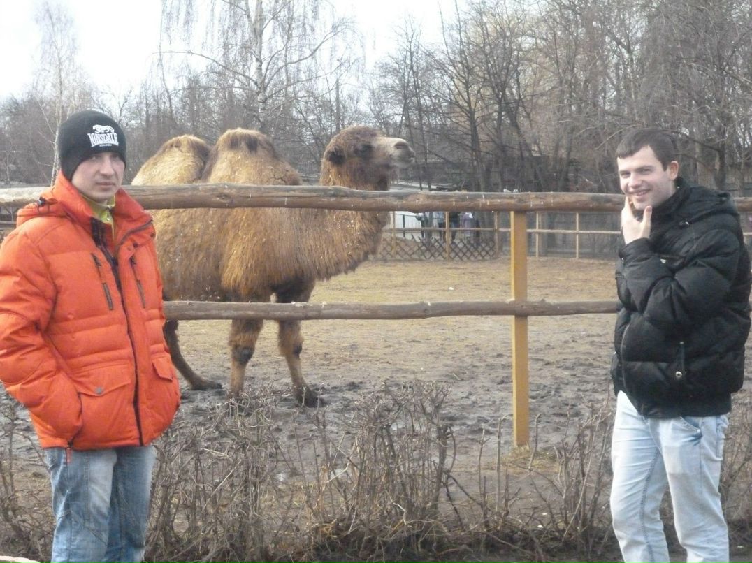 Антон Сыкал | Гомель