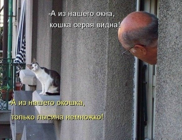 Даниил Егоров-Рохтанен | Брянск